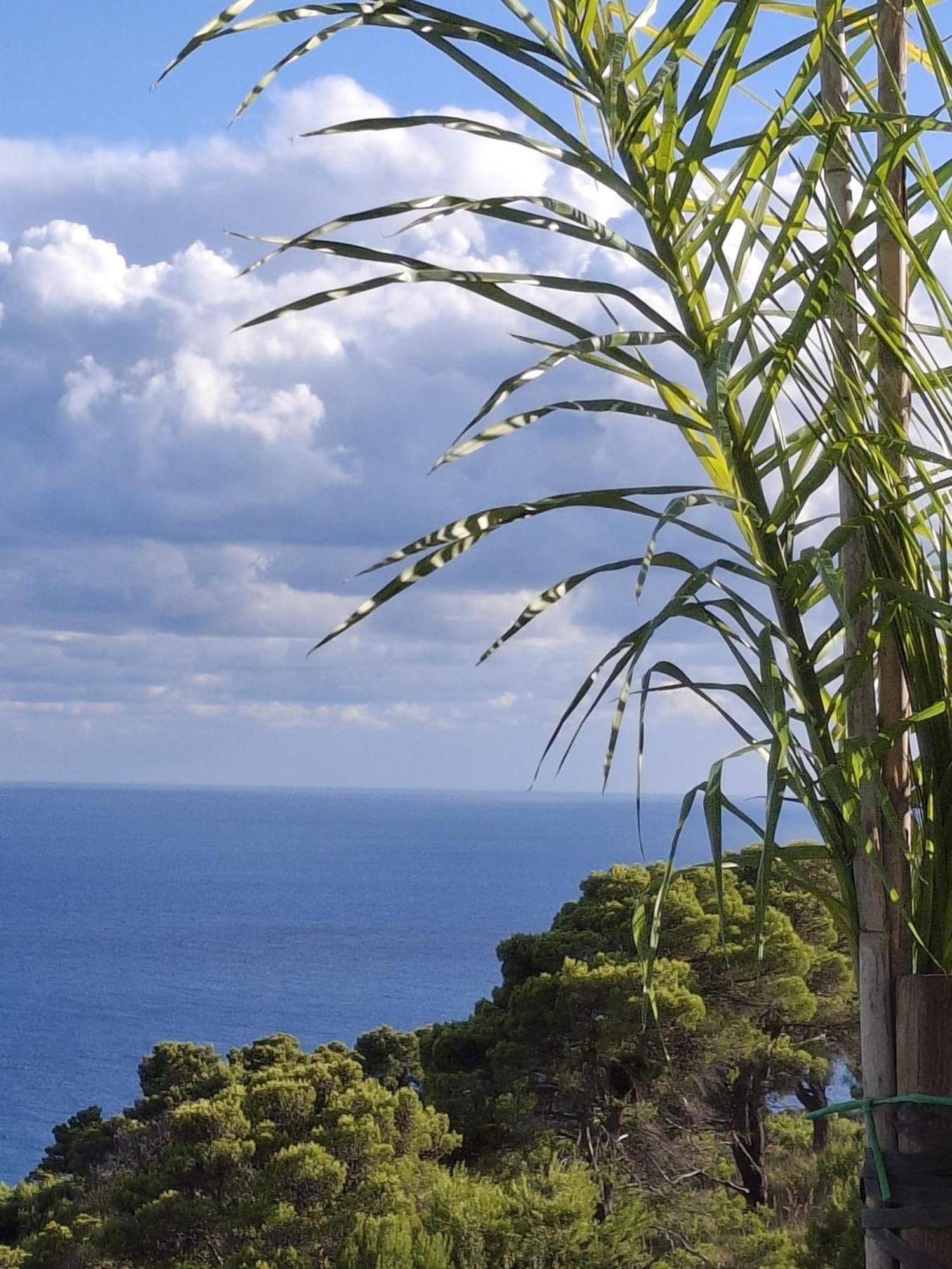 Tenuta Belvedere Cilento Montecorice Exterior foto